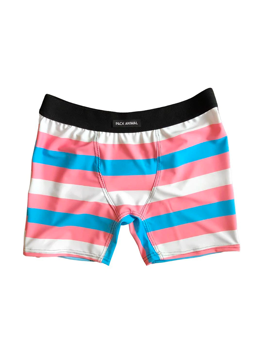 Pack Animal Packing Strap in Trans Flag Pattern
