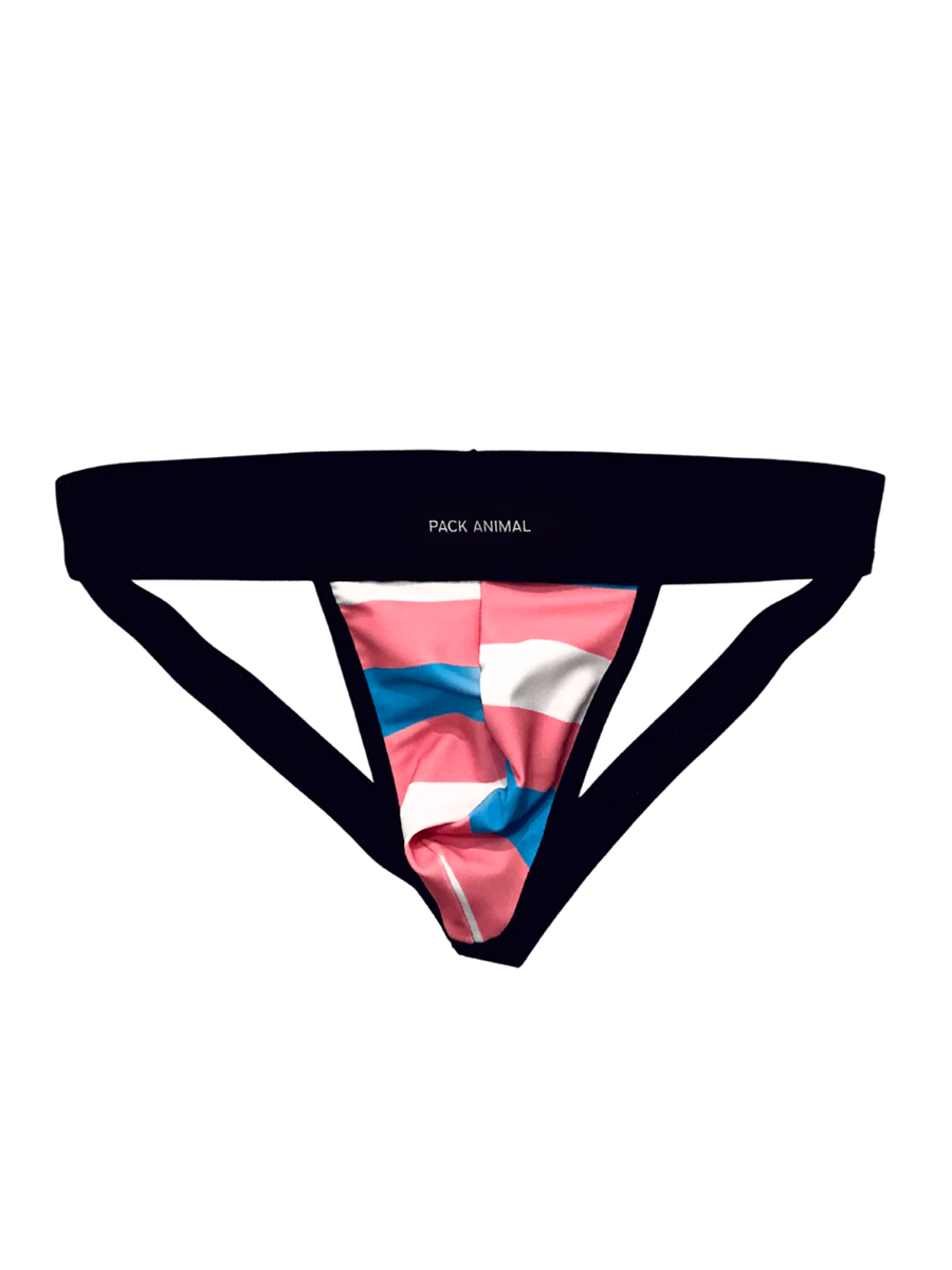 Pack Animal Packing Strap in Trans Pride Flag